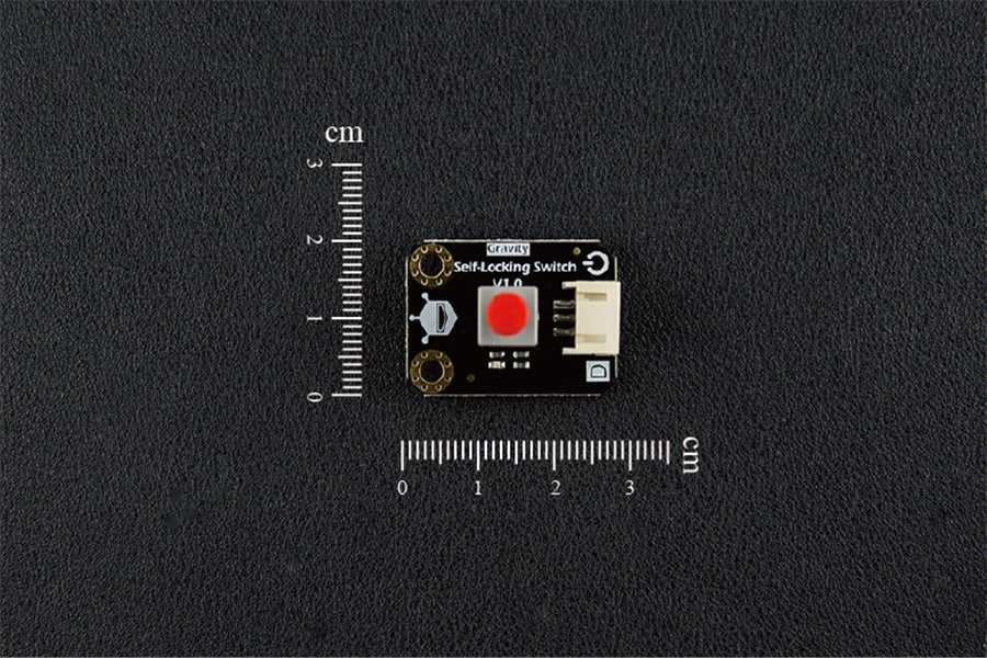 Switch Self-Locking Digital Gravity