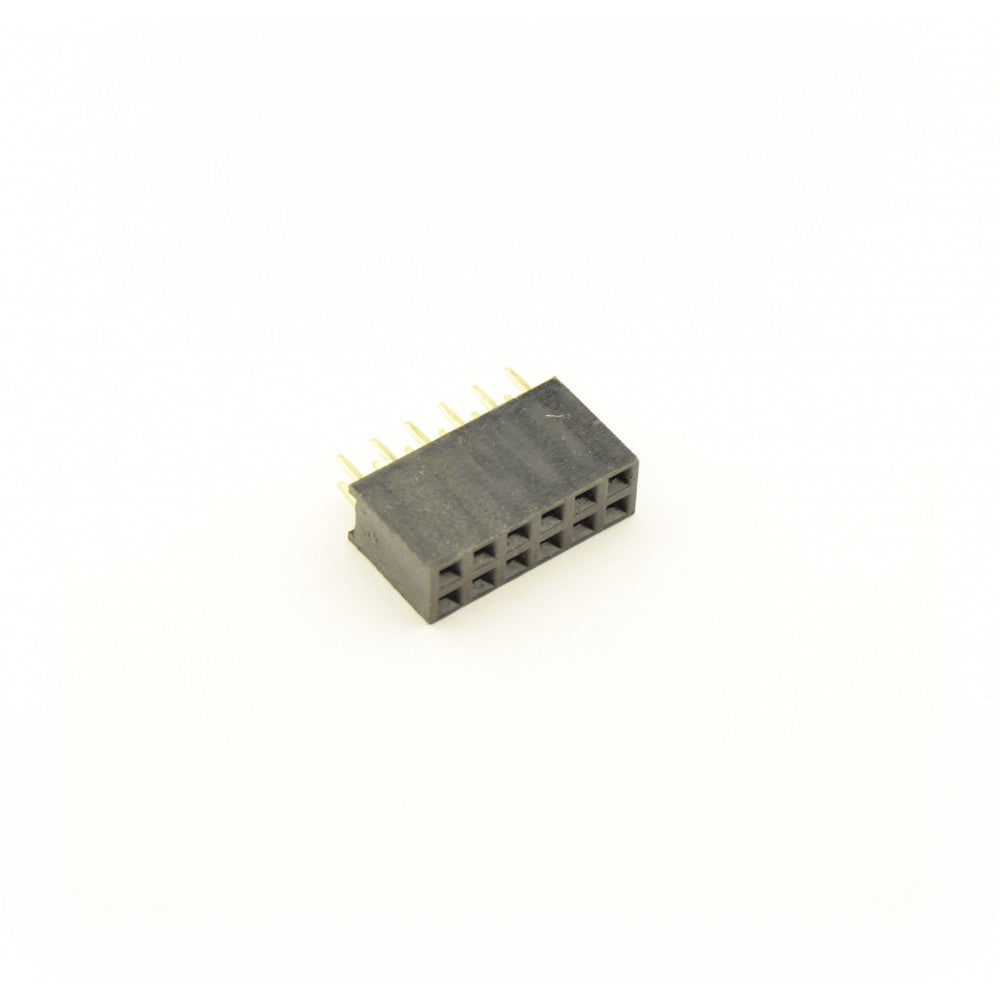 Female Header 2x6 2.54mm 5PCS
