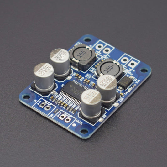 TPA3118 BTL 60W DC 12V-24V Mono Digital Audio Power Amplifier Board