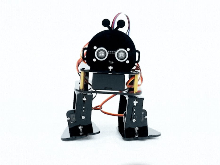 ACEBOTT QD021 Biped Robot Kit