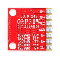 Amplifier Mono Digital Module OEP30W Single Channel - circuitrocks
