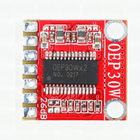 Mono Class-D Amplifier OEP30W - Single Channel