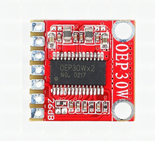 Mono Class-D Amplifier OEP30W - Single Channel