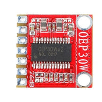 Mono Class-D Amplifier OEP30W (AM332)
