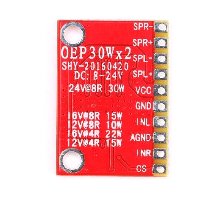 Amplifier Mono Digital Module OEP30WX2 Dual Channel