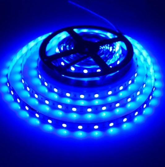 12V 5050 Blue LED Light Strip 60LED 5M