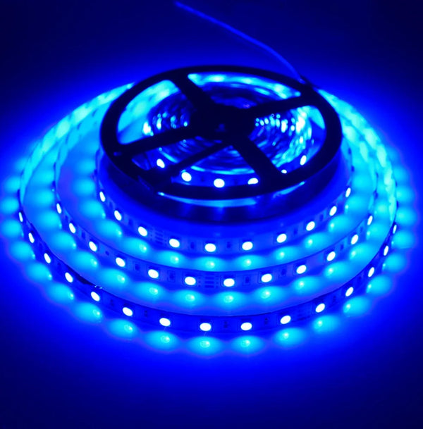 12V 5050 Blue LED Light Strip 60LED 5M - circuitrocks