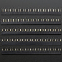 Header Female 36-pin 0.1
