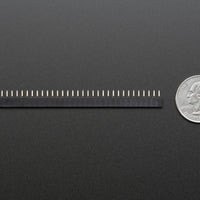 Header Female 36-pin 0.1