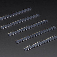 Adafruit Header Female 36-Pin 0.1