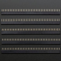 Adafruit Header Female 36-Pin 0.1