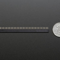 Adafruit Header Female 36-Pin 0.1