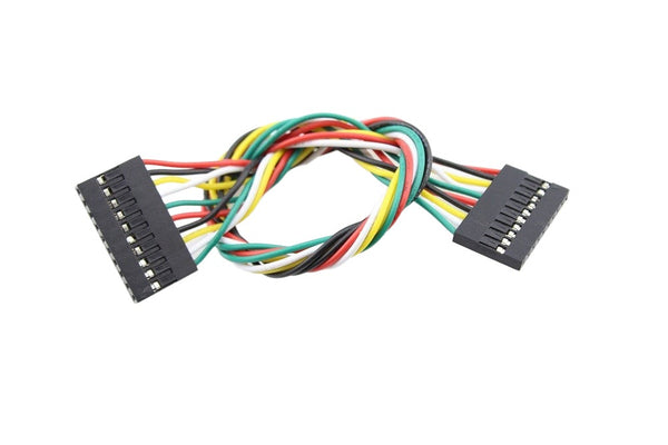 Jumper Wire 10-Pin Dual Female 200mm (PCW20101)