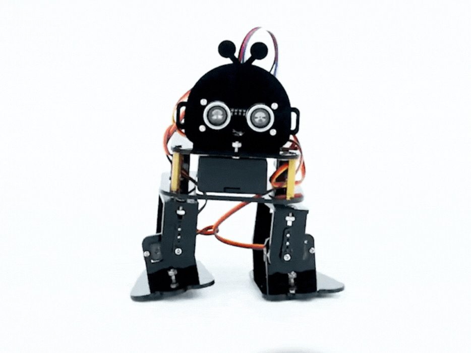 ACEBOTT Biped Robot Kit