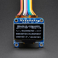 Adafruit OLED 1.3