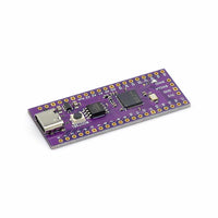 Pico RP2040 128Mbit 16M/4MB Dev Board - view 3