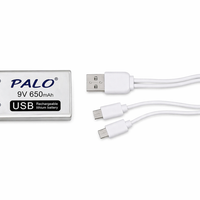 9V 650mAh USB-Rechargeable PALO Battery