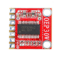 Amplifier Mono Digital Module OEP30W Single Channel - circuitrocks